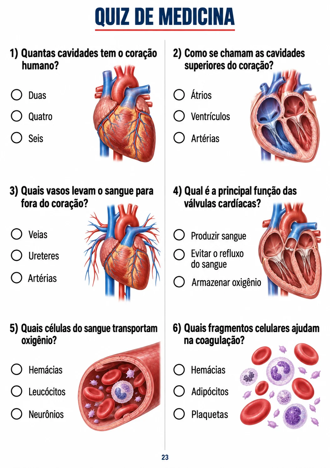 Rodada sobre circulação e sangue