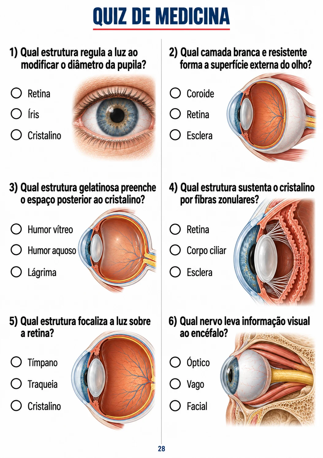 Rodada sobre visão